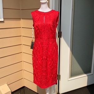 Beautiful Tadashi dress